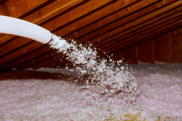 Best Specialized Insulation Services in Waimea, HI