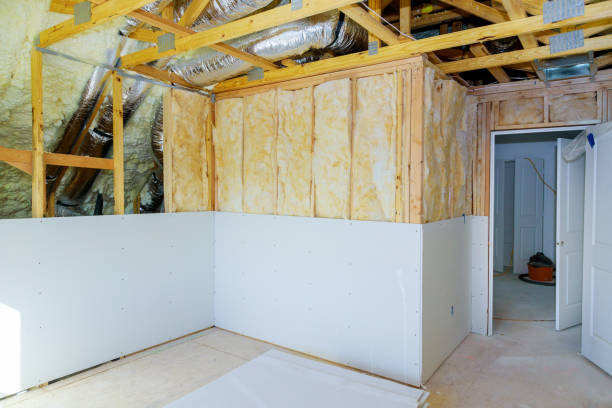 Best Residential Insulation in Waimea, HI