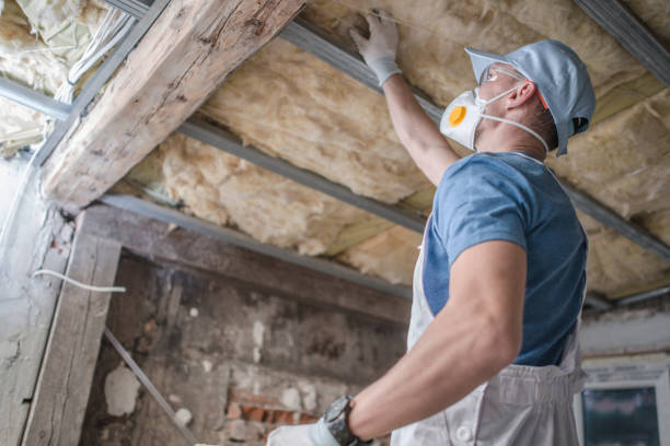 Best Insulation for Specific Applications in Waimea, HI