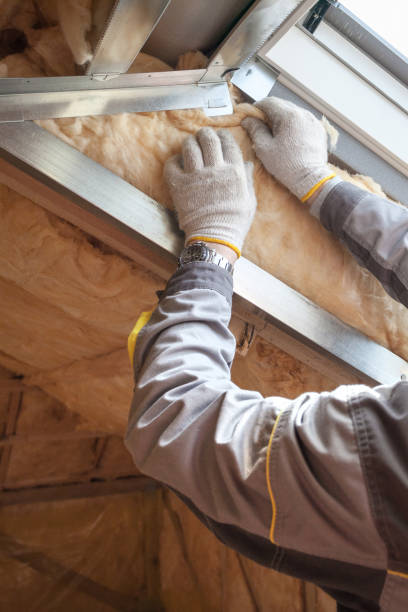 Best Blown-in Insulation in Waimea, HI