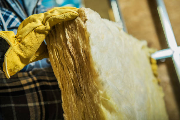 Best Commercial Insulation in Waimea, HI