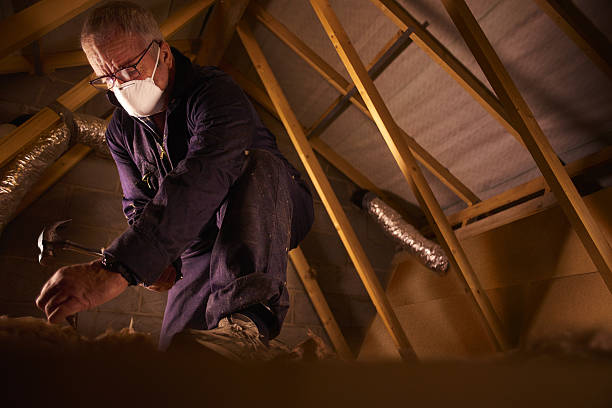 Types of Insulation We Offer in Waimea, HI